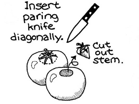 신선한 토마토의 껍질을 벗기고 씨를 뿌리고 자르기