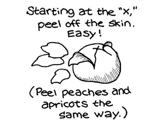 신선한 토마토의 껍질을 벗기고 씨를 뿌리고 자르기