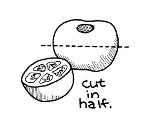 신선한 토마토의 껍질을 벗기고 씨를 뿌리고 자르기