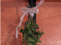 신선한 허브 건조