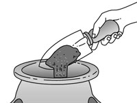 딸기 화분 심는 방법