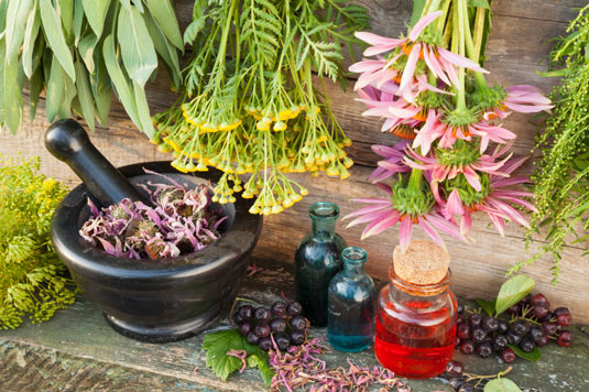 주스와 스무디를 위한 10가지 면역 강화 성분