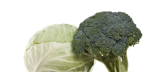 주스와 스무디를 위한 10가지 항산화제가 풍부한 과일 및 채소