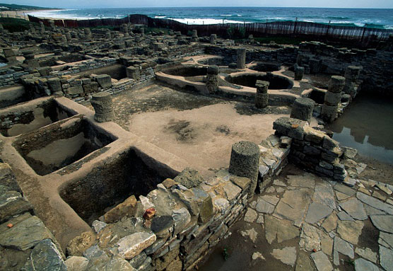 샤퀴테리 향신료를 선택하는 방법