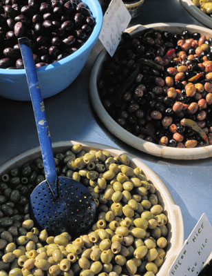 다양한 종류의 올리브