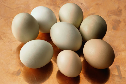 계란 구입 방법