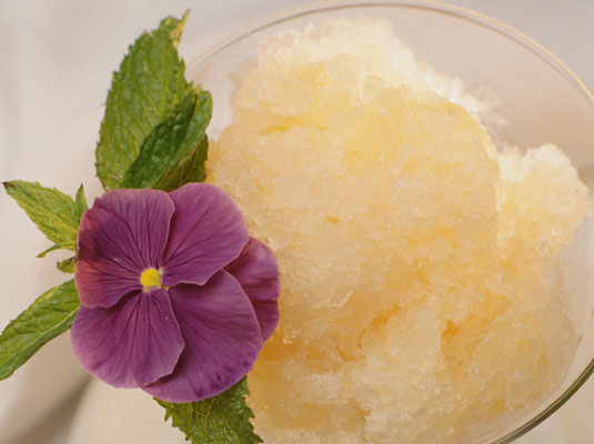 이탈리아 냉동 디저트