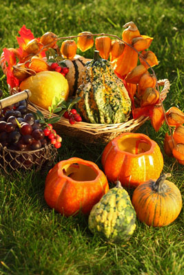 자연의 추수 감사절 장식 아이디어