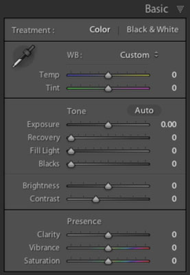 Adobe Lightroom에서 올바른 개 사진 화이트 밸런스