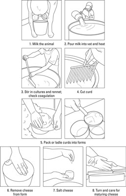 나만의 치즈 만드는 법