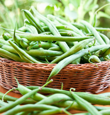 녹두 발사미코 만드는 법