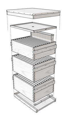 Langstroth 하이브를 조립하는 방법