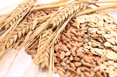 팔레오 다이어트: 피해야 할 음식