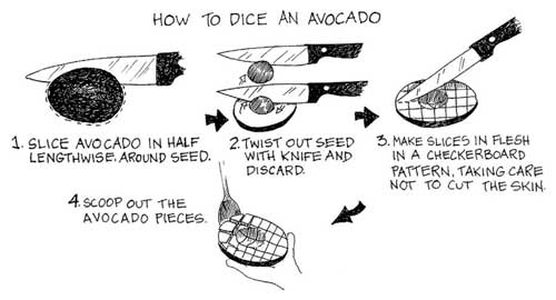 크림 아보카도 퀘사디아