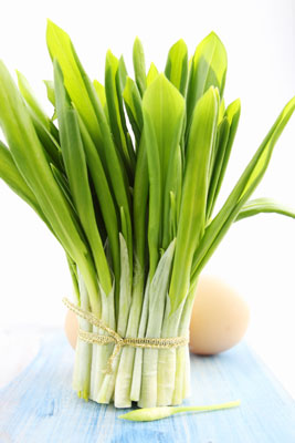 Vinaigrette의 부추(Poireaux à la Vinaigrette)