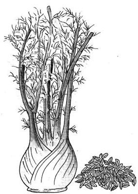 위산 역류 다이어트에 적합한 음식 비축하기