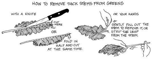 그린 스무디로 건강한 하루 시작하기