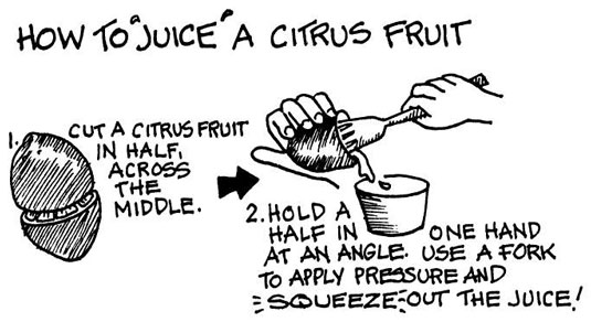 살사에 감귤류 및 기타 과일 추가하기