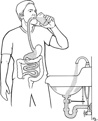 당뇨병 관리를 위한 탄수화물 계산 및 과일 주스에 대한 사실