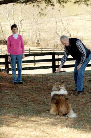 A Day For FamilyToday의 Canine Good Citizen 테스트 이미지 모음